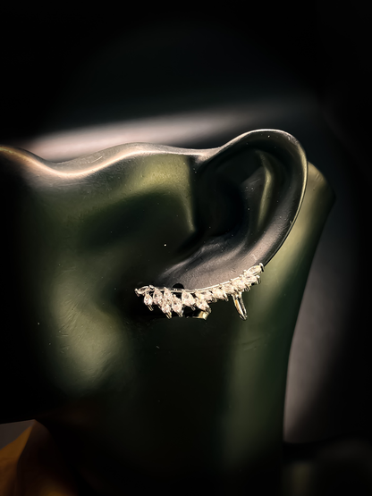 Leaf zirconia stud earrings - Silver